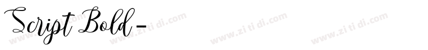 Script Bold字体转换